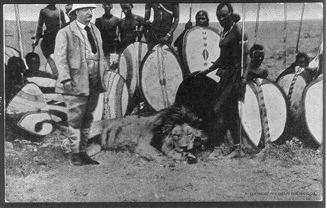 Roosevelt on lion hunt safari